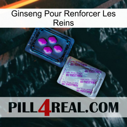 Ginseng For Reinforcing Kidney 37